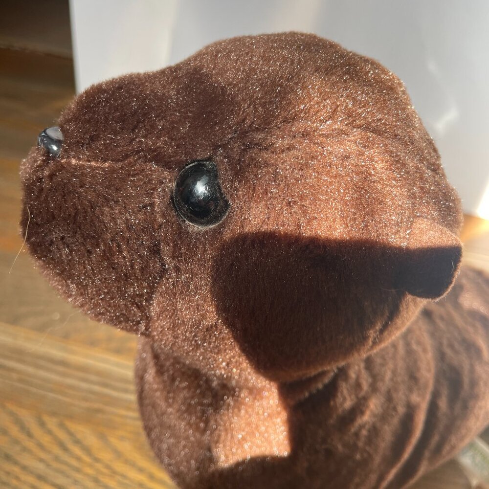 Aurora World Destination Nation Seal Stuffed Animal 12" Plush from Sea World - Picture 4 of 7